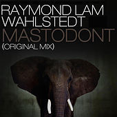 Thumbnail for the Raymond Lam - Mastodont (Original Mix) link, provided by host site