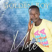 Thumbnail for the Golden Boy - Mate link, provided by host site