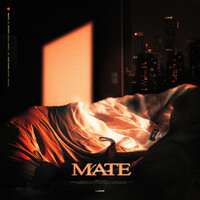 Thumbnail for the L'ONE - MATE link, provided by host site