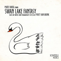 Thumbnail for the Matt Van Brink - Matt Van Brink: Swan Lake Fantasy - Suite on Themes from Tchaikovsky's Op. 20 link, provided by host site