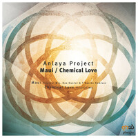 Image of Anlaya Project linking to their artist page due to link from them being at the top of the main table on this page