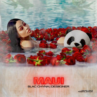 Thumbnail for the Blac Chyna - Maui link, provided by host site