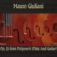 Thumbnail for the Mauro Giuliani - Mauro Giulani: Op. 53 Gran potpourri (flûte and guitar) link, provided by host site
