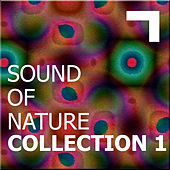 Thumbnail for the MDMA - Maximum planet link, provided by host site
