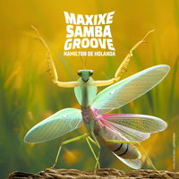 Thumbnail for the Hamilton de Holanda - Maxixe Samba Groove link, provided by host site
