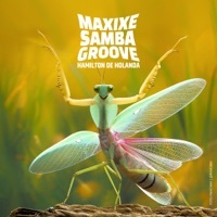 Thumbnail for the Hamilton de Holanda - Maxixe Samba Groove link, provided by host site