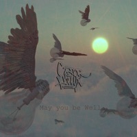 Thumbnail for the Castor Pollux - May You Be Well link, provided by host site