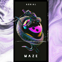 Thumbnail for the Aerial - Maze link, provided by host site