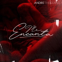 Thumbnail for the Andre TG - Me Encanta link, provided by host site