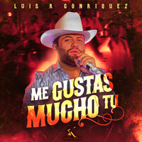 Thumbnail for the Luis R Conriquez - Me Gustas Mucho Tú link, provided by host site