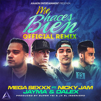 Thumbnail for the Mega Sexxx - Me Haces Bien (Remix) link, provided by host site