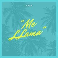 Thumbnail for the A - Me Llama link, provided by host site
