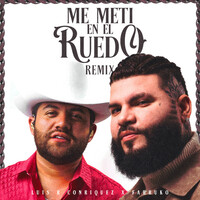 Thumbnail for the Luis R Conriquez - Me Metí en el Ruedo (Remix) link, provided by host site