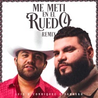 Thumbnail for the Luis R Conriquez - Me Metí en el Ruedo (Remix) link, provided by host site