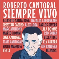 Thumbnail for the Vicentico - Me Odio link, provided by host site
