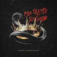 Thumbnail for the Omar Rodríguez - Me Saliste Regular link, provided by host site