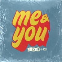 Thumbnail for the The Breed - Me & You link, provided by host site