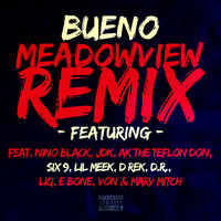 Thumbnail for the Bueno - Meadowview [Remix] link, provided by host site