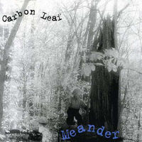 Thumbnail for the Carbon Leaf - Meander link, provided by host site