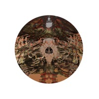 Thumbnail for the Dillard - Meander link, provided by host site