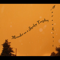 Thumbnail for the Aaron Lewis - Meander on a Smoky Tuesday link, provided by host site