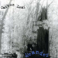 Thumbnail for the Carbon Leaf - Meander link, provided by host site