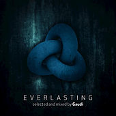 Thumbnail for the The Orb - Meandering Through the Emerald Turf (Gaudi Remix) link, provided by host site