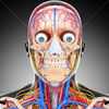 Thumbnail for the Andrew Williams - Meaning of Life link, provided by host site