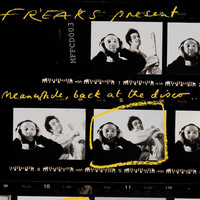 Thumbnail for the Freaks - Meanwhile, Back At The Disco... link, provided by host site