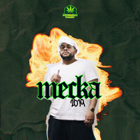 Thumbnail for the Allyawan - Mecka 2019 link, provided by host site