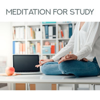 Thumbnail for the Study Music Club - Meditation for Study – Deep Harmony, Relaxation Songs for Full Concentration, Inner Silence, Meditation Therapy, Focus Melodies link, provided by host site