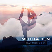 Thumbnail for the The Rest - Meditation Nature 2017 link, provided by host site