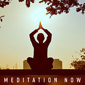 Thumbnail for the White Noise Research - Meditation Now link, provided by host site
