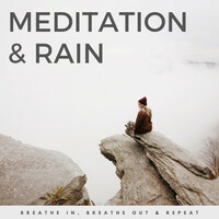 Thumbnail for the Relaxing Music Orchestra - Meditation & Rain: Breathe In, Breathe Out & Repeat link, provided by host site