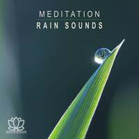 Thumbnail for the Meditation Zen Master - Meditation: Rain Sounds link, provided by host site