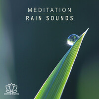 Thumbnail for the Meditation Zen Master - Meditation: Rain Sounds link, provided by host site