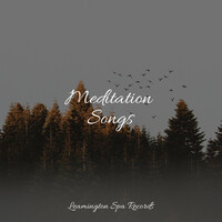 Thumbnail for the Study Zone - Meditation Songs link, provided by host site
