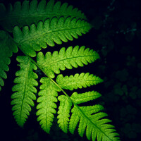 Thumbnail for the Asian Zen Meditation - Meditation Sounds | Deep Sleep and Relaxation link, provided by host site