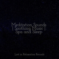 Thumbnail for the Meditation Spa - Meditation Sounds | Soothing Music | Spa and Sleep link, provided by host site