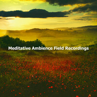 Thumbnail for the Relaxing Nature Ambience - Meditative Ambience Field Recordings link, provided by host site