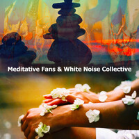Thumbnail for the Spa Music - Meditative Fans & White Noise Collective link, provided by host site
