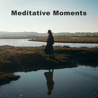 Thumbnail for the Johann Sebastian Bach - Meditative Moments link, provided by host site