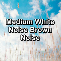 Thumbnail for the Pink Noise - Medium White Noise Brown Noise link, provided by host site