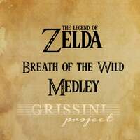 Thumbnail for the Grissini Project - Medley Zelda Breath of the Wild: Main Theme / On Horse / Rito Village / Hyrule Castle / Beast Ganon link, provided by host site