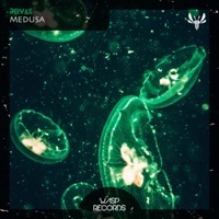 Thumbnail for the Reivax - Medusa link, provided by host site