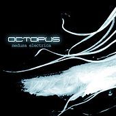 Thumbnail for the Octopus - Medusa Electrica link, provided by host site
