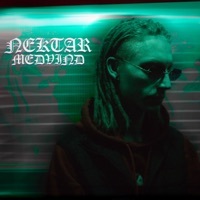Thumbnail for the Nektar - Medvind link, provided by host site