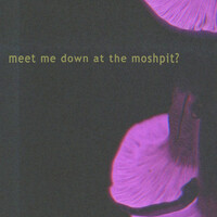 Thumbnail for the Corbin - meet me in the moshpit link, provided by host site