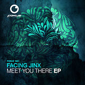 Thumbnail for the Facing Jinx - Meet You There link, provided by host site