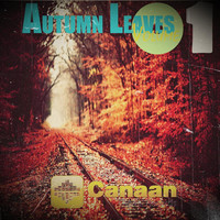 Thumbnail for the Adam Jetrack - Meeting - Gege Remix link, provided by host site